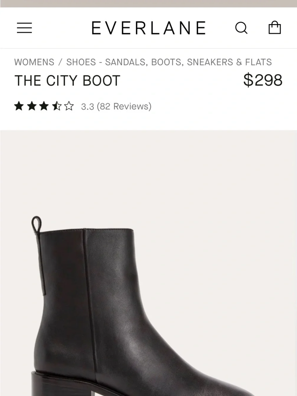 Everlane Black Leather Zip Ankle Boots